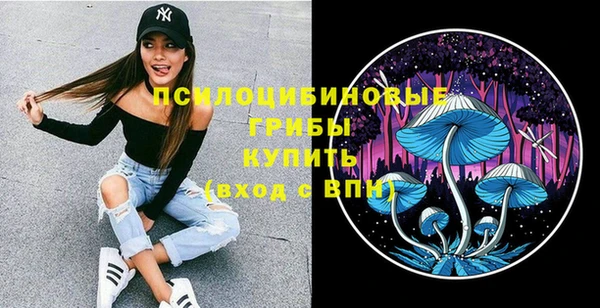 тгк Вяземский