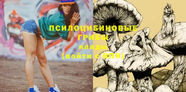 apvp Вязьма
