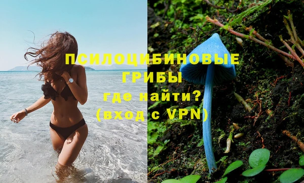 тгк Вяземский
