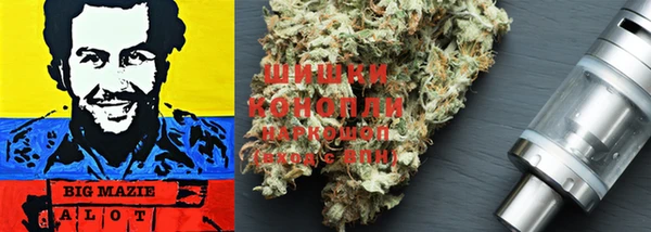 тгк Вяземский